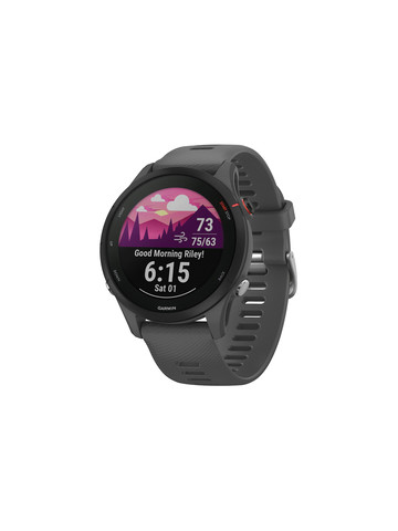 Garmin 010-02641-00 Forerunner 255 Running Smartwatch (Slate Gray)