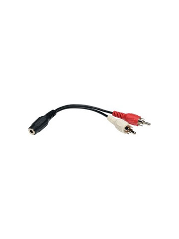 Tripp Lite P316&#45;06N Female 3&#46;5mm Stereo to 2 Male RCAs Y&#45;Splitter Cable 6 inch